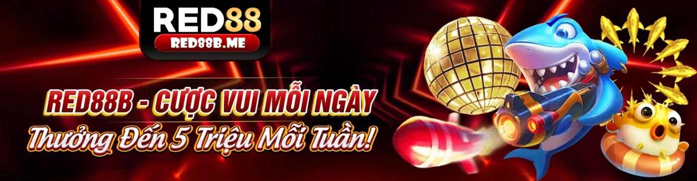 Nền tảng donclub chính thức an toàn và bảo mật